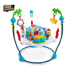 Neighborhood Symphony Activity Jumper Infant Entertainer Age 6 Months