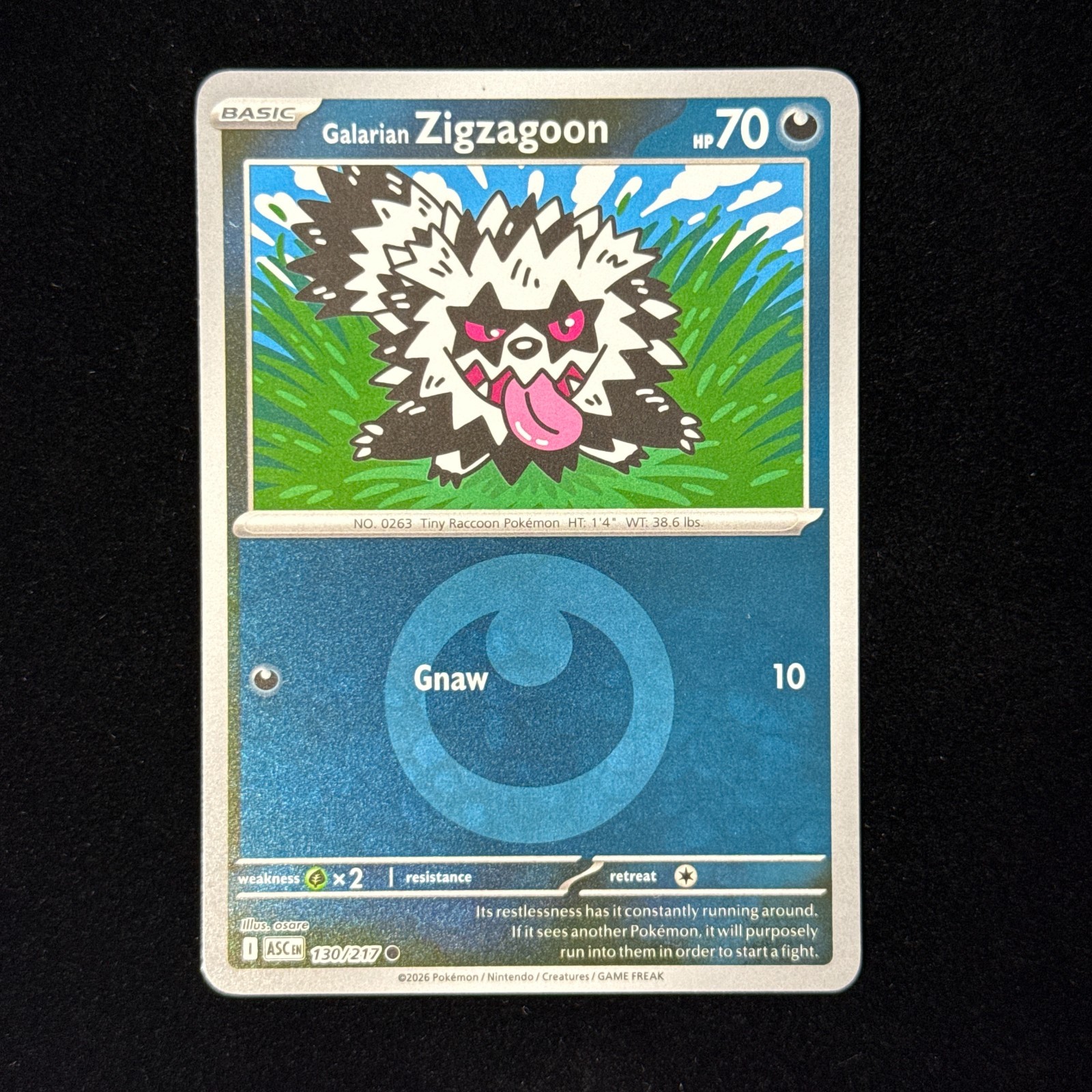 Galarian Zigzagoon 130/217 Energy Reverse Holo Ascended Heroes Pokemon Near Mint