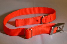 Dog Collar - One Size Fits All - 3/4" nylon - Adjustable - Pack of 4 F594-21