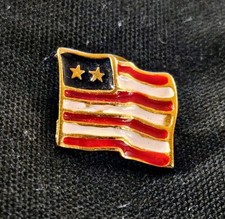 Patriotic 2 Star U.S. Flag Metallic Pin American Collectible USA