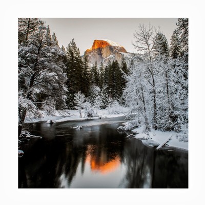 Outdoor Canvas Art - David H Yang 'The Last Sunshine' Wall Art for Outdoor Sp...