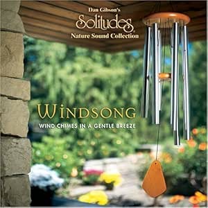 WINDSONG: WINDSPIEL IN EINEM SANFTEN B -GEBRAUCHTE CD