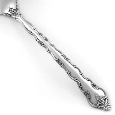 International DELICATO Deep Silver Plate 1971 Silverware CHOICE Flatware