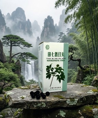 Tian Qi Die Da Wan - Notoginseng Form- TCM Kräuterrezeptur - Shao Wu Pai Brand