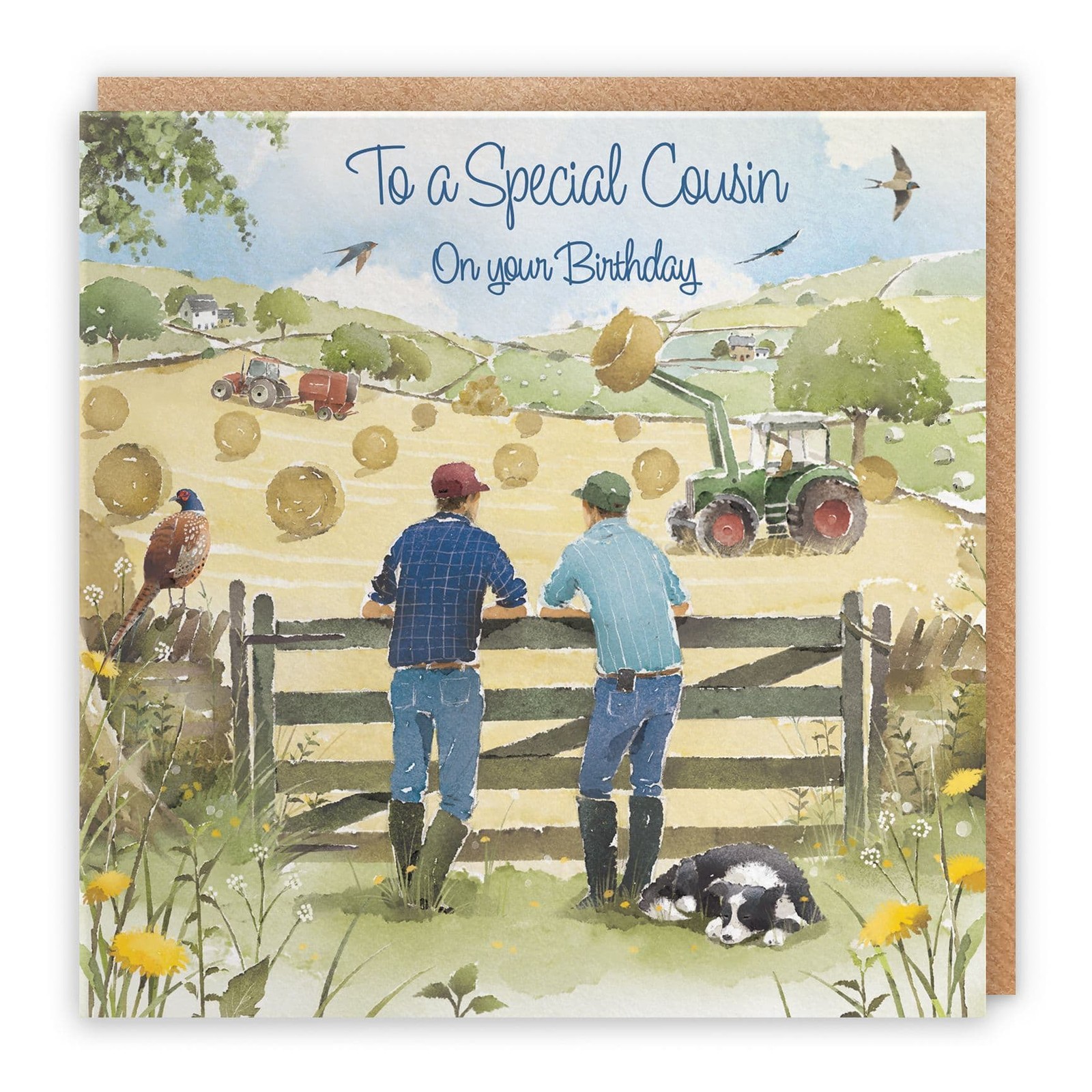 Cousin Birthday Card Haymaking Milo's Gallery