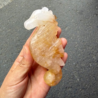 4'' Natural Yellow gum flower Carved Seahorse quartz crystal healing+stand 1pc
