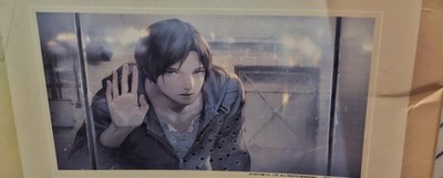 Biohazard Resident Evil Code Veronica Poster Steve Burnside 22x34 Capcom rare