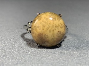 Natural Silicified Coral Fossil Flower Agate Ring/ Adjustable