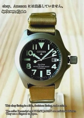 Citizen Promaster Tough Watch Titanium Case 39mm 200M Date Black Dial Men's