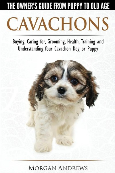 Cavachons - The Owner's Guide From Puppy To Old Age - Choosing, Caring For,...-image