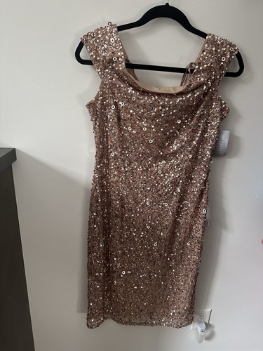 Adrianna Papell Size 12 NWT Rose Gold