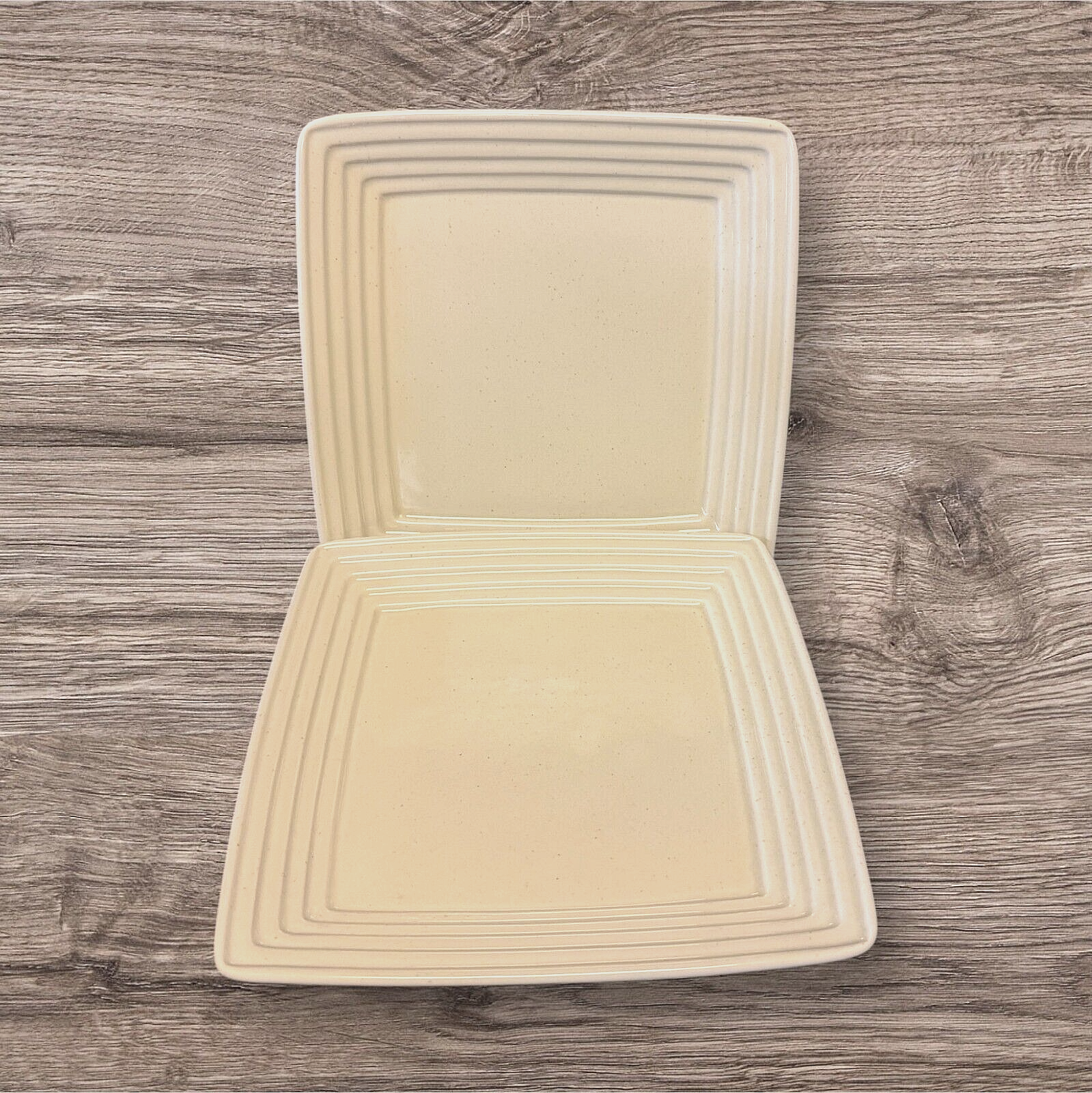 Pfaltzgraff Cappuccino 9-Inch Square Buffet Plates Set of 2
