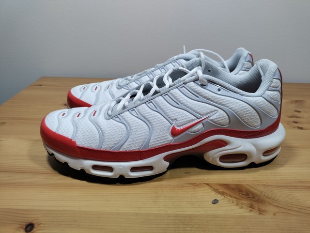 Size 12 - Nike Air Max Plus AM1 Gray 