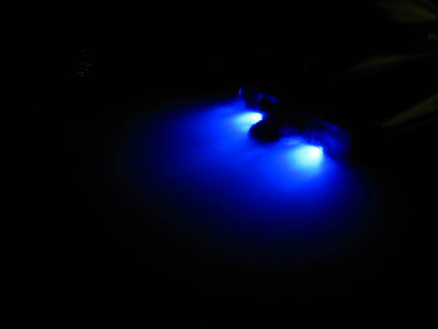 Gassy LED RX 122 DP 青色スポットライト 1) Seadoo RXP Blue LED DRAIN PLUG LIGHT 2004-2011 RXT 215 GTX RXPX