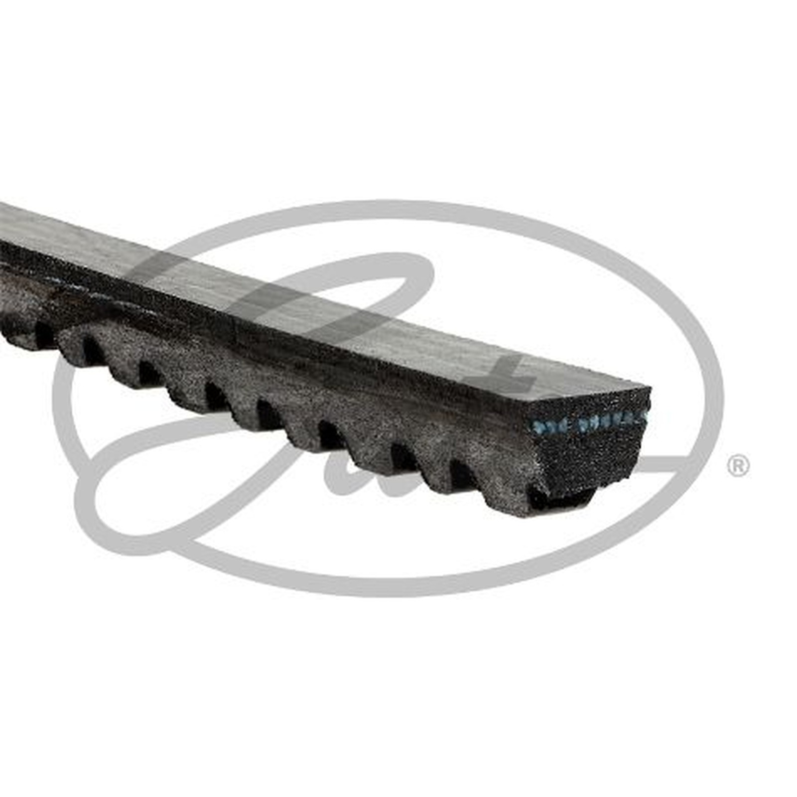 VBELT AVX10X1625HD FOR MAN HOCL LION?S/STAR/COACH NL D2876LOH01 12.8L 6cyl HOCL - Image 6
