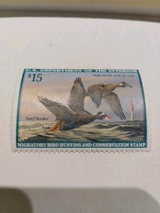 1996 US Federal Duck Stamp 