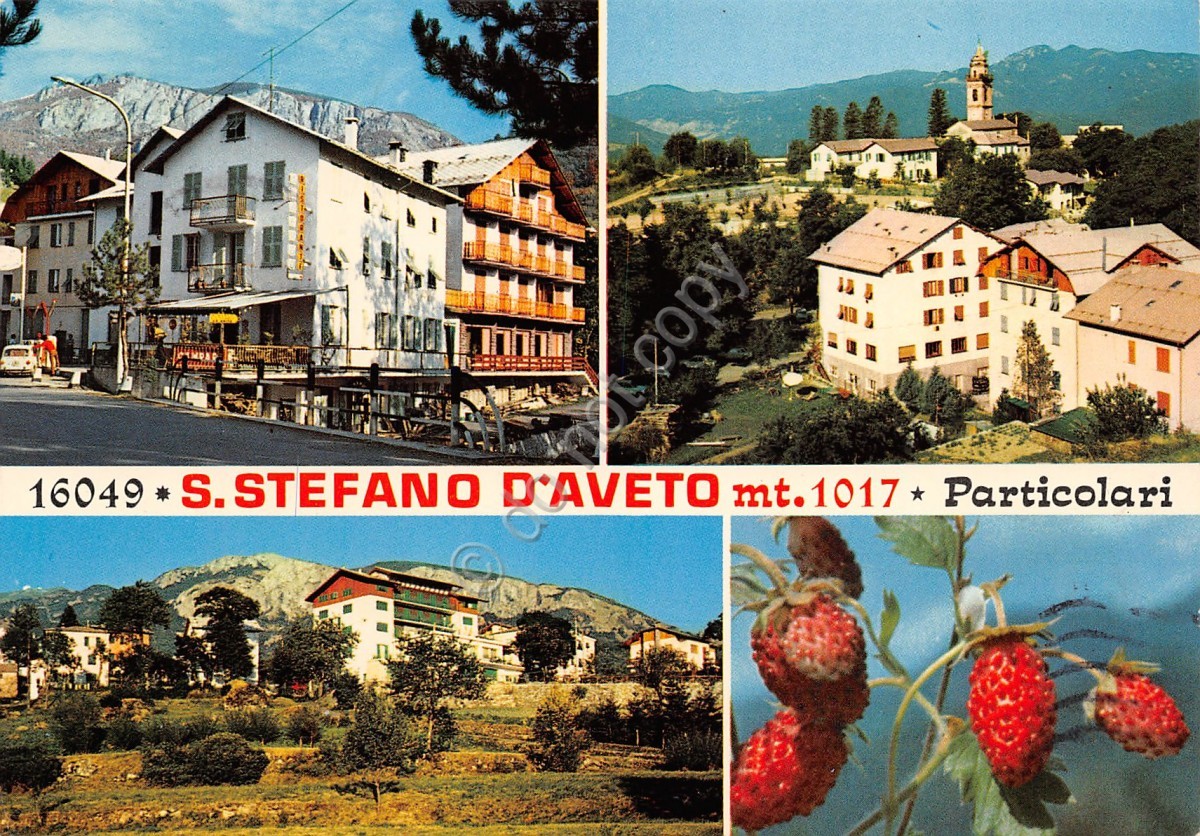 Cartolina Santo Stefano D'Aveto vedute case (Genova)