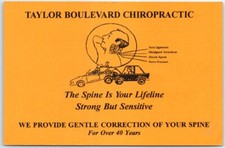 The Spine Is Your Lifeline, Strong But Sensitive, Taylor Blvd. Quiropráctica - KY