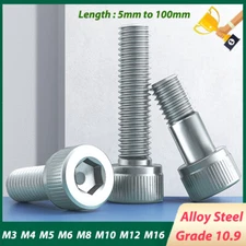 Grade 10.9 Hex Socket Cap Screws Alloy Steel Cup Head Bolt M3 to M16 Metric