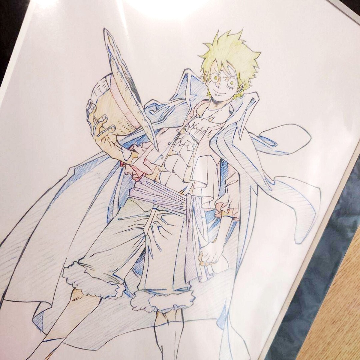 TOEI ANIMATION ONE PIECE ILLUSTRATION WORKS Art Collection Stand