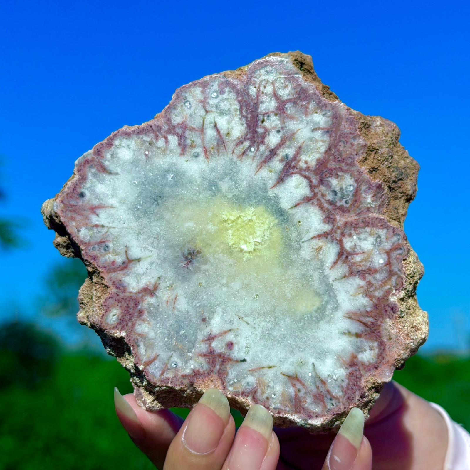 183G Natural Colorful Lace Agate Geode Slice Extra Large Gem From ...