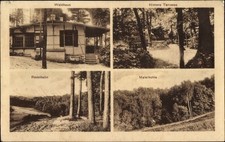 Ak Mücheln im Saalekreis, Waldhaus, Hintere Terrasse, Rodelbahn,... - 3876806