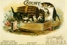 Catchy Cats Kittens Rolling on Box Cigars Colorado Vintage Poster Repro FREE S/H