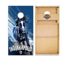 Cornhole Boards Skips Garage WSOC Runway Series Regulation Size Outdoor