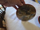 Vintage Pair of bubble pictures Animals Souvenir of Long Beach California RARE — photo 7