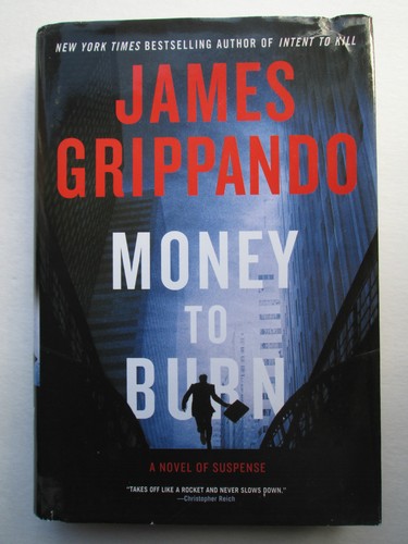 Money to Burn by James Grippando (2010, Hardcover) - 第 1/4 張圖片