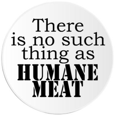 Health Benefits of 7-Keto-DHEA – (7-Oxo-dehydroepiandrosterone)