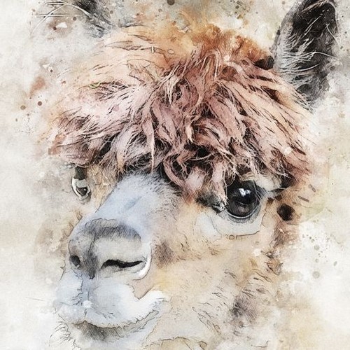 Alpaca - CANVAS OR PRINT WALL ART - Picture 2 of 2
