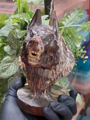 #ad Petrified Wood Carved Crystal Wolf 1kg 264g $158.00