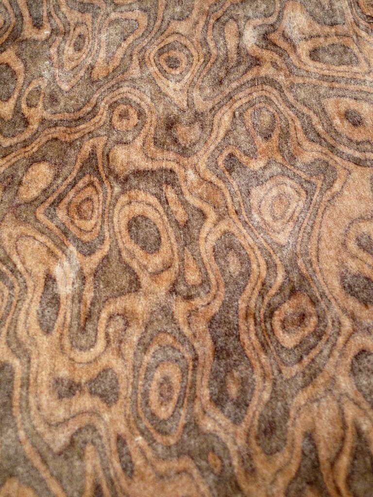 EBONO BOIS DE Racine Plaque Maser SaRaiFo Noyer Burr 250x32Cm EUR 17,99 - FR