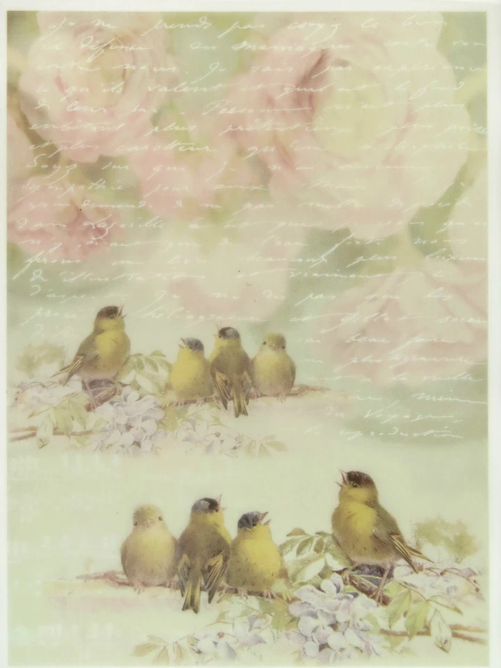 ITD Printed Translucent / Vellum Scrapbook Paper A/4 Birds