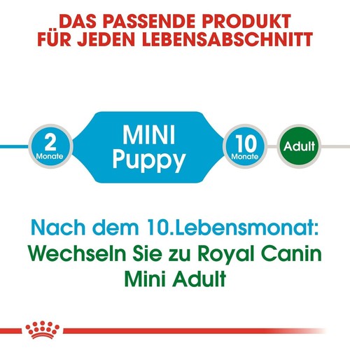 ROYAL CANIN MINI Puppy Trockenfutter 800g – Für Welpen Kleiner Hunderassen