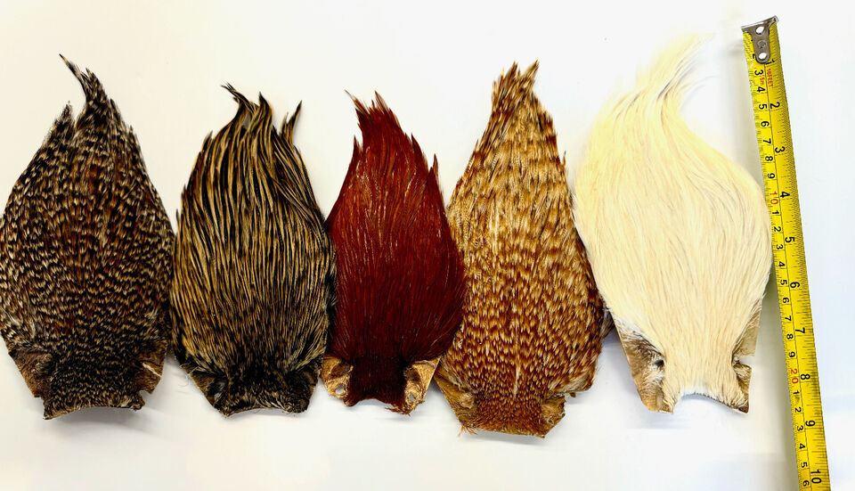Cou de Coq Grade A / Plumes de Coq pour le montage de Mouches – La