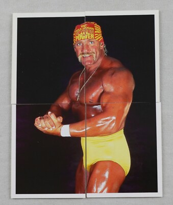 Hulk Hogan card WWF Merlin 1991 - Collezionismo In vendita a Milano