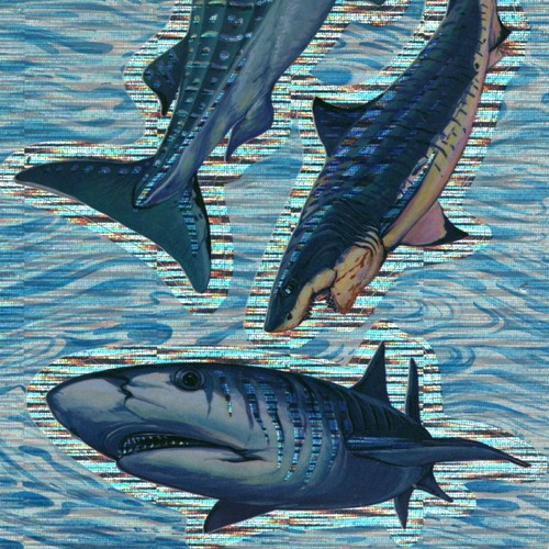 Retro 1980-90s Prismatic SHARK Stickers Sheet Twin Seven KIDS 4 Large Sharks VTG