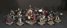 Pro Painted 40k Chaos Blooded Traitor Guard K...