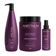 Volume Reducer No Frizz System Straight Frizzy Hair Treatment 3 Itens Aneethun