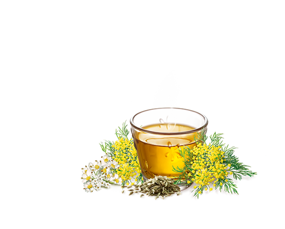 Fennel Anise & Caraway Tea 2 BOXES, 50x tea bags by Messmer of Germany