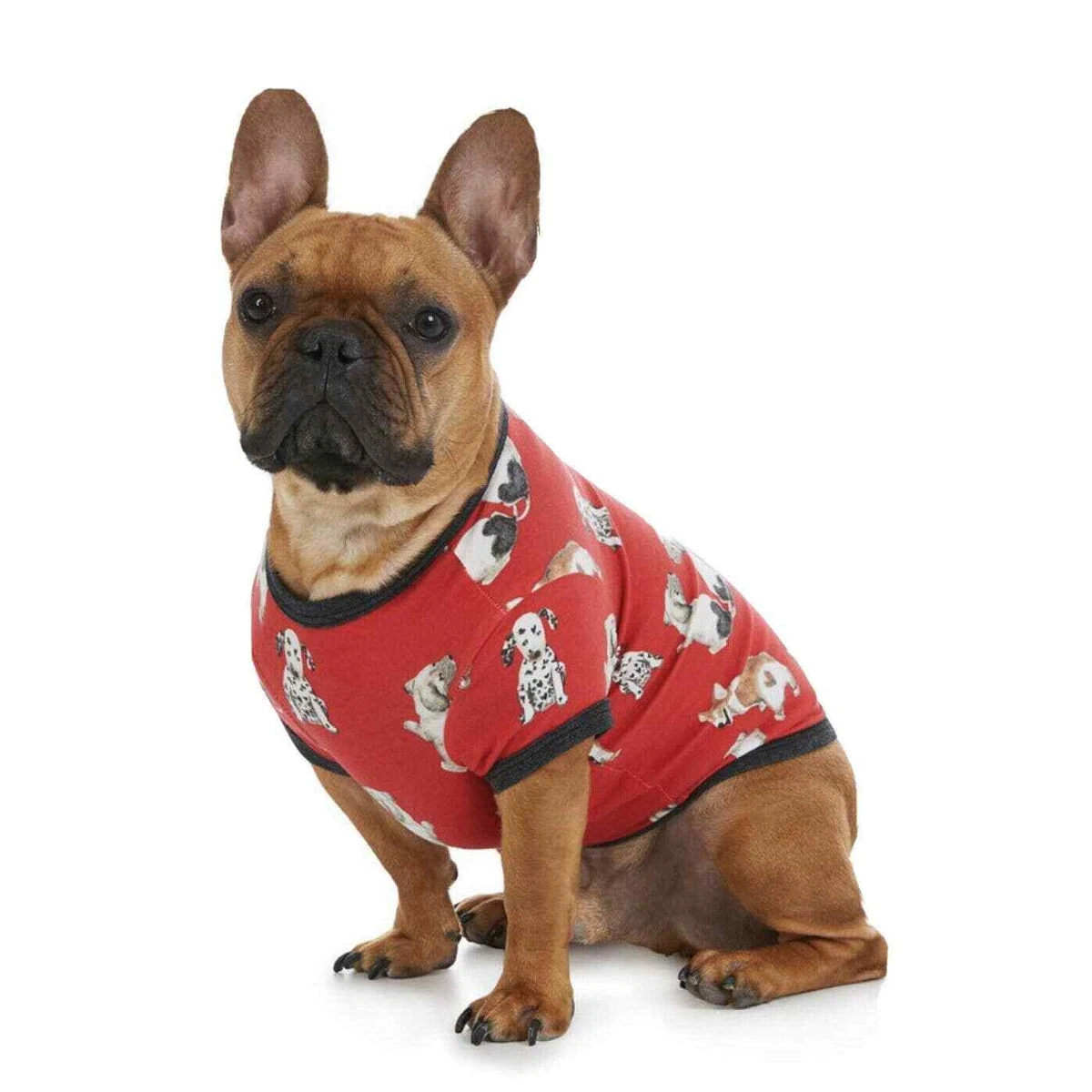Corgi pajamas for dogs new arrivals