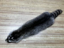 Raccoon Hides, Pelts, Tanned