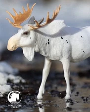 BREYER HORSE ANIMAL WEB SPECIAL - 2025 “RODDICK” Piebald Moose -Limited 1000 Pcs