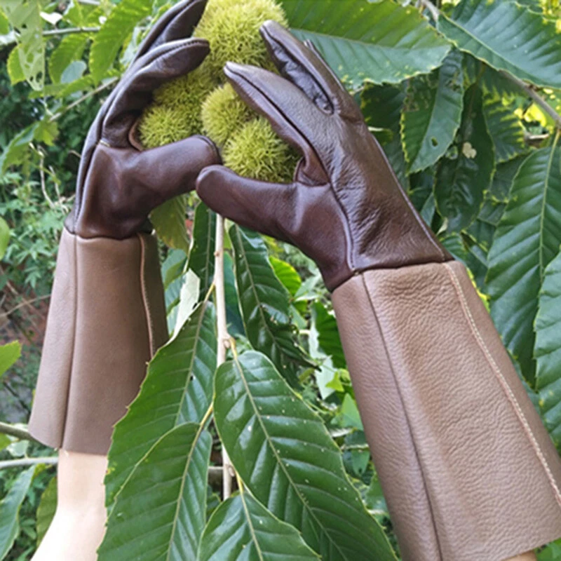 Jardinage Gants Résistant Imperméable Cuir de Vache Travail Maison  Extérieur