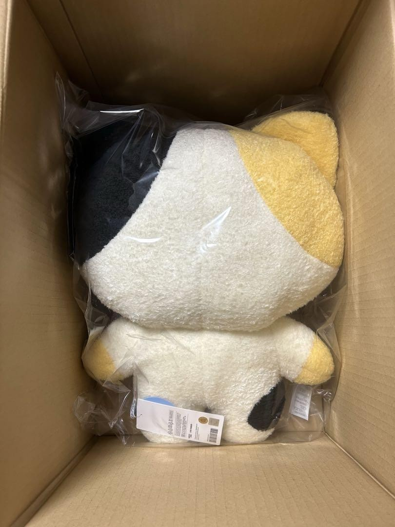 ZB1 RICKY Rinini Line Friends Zeroni Plush Doll Stuffed Toy