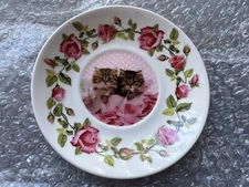 Wizarding Trunk  2 Cat Plate Saucer Wall Display Umbridge Office Harry Potter