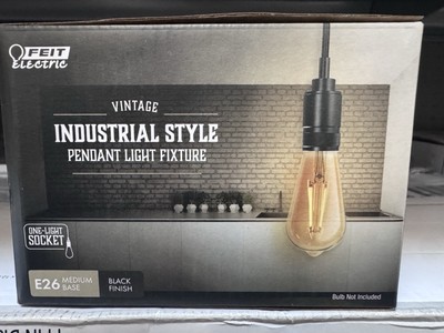 Feat Electric Black 1 Lights Pendant Light Industrial Style w/clear Edison bulb