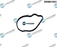 Dr.Motor Automotive DRM01953 Dichtung FüR Einspritzpumpe